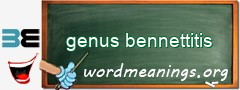 WordMeaning blackboard for genus bennettitis